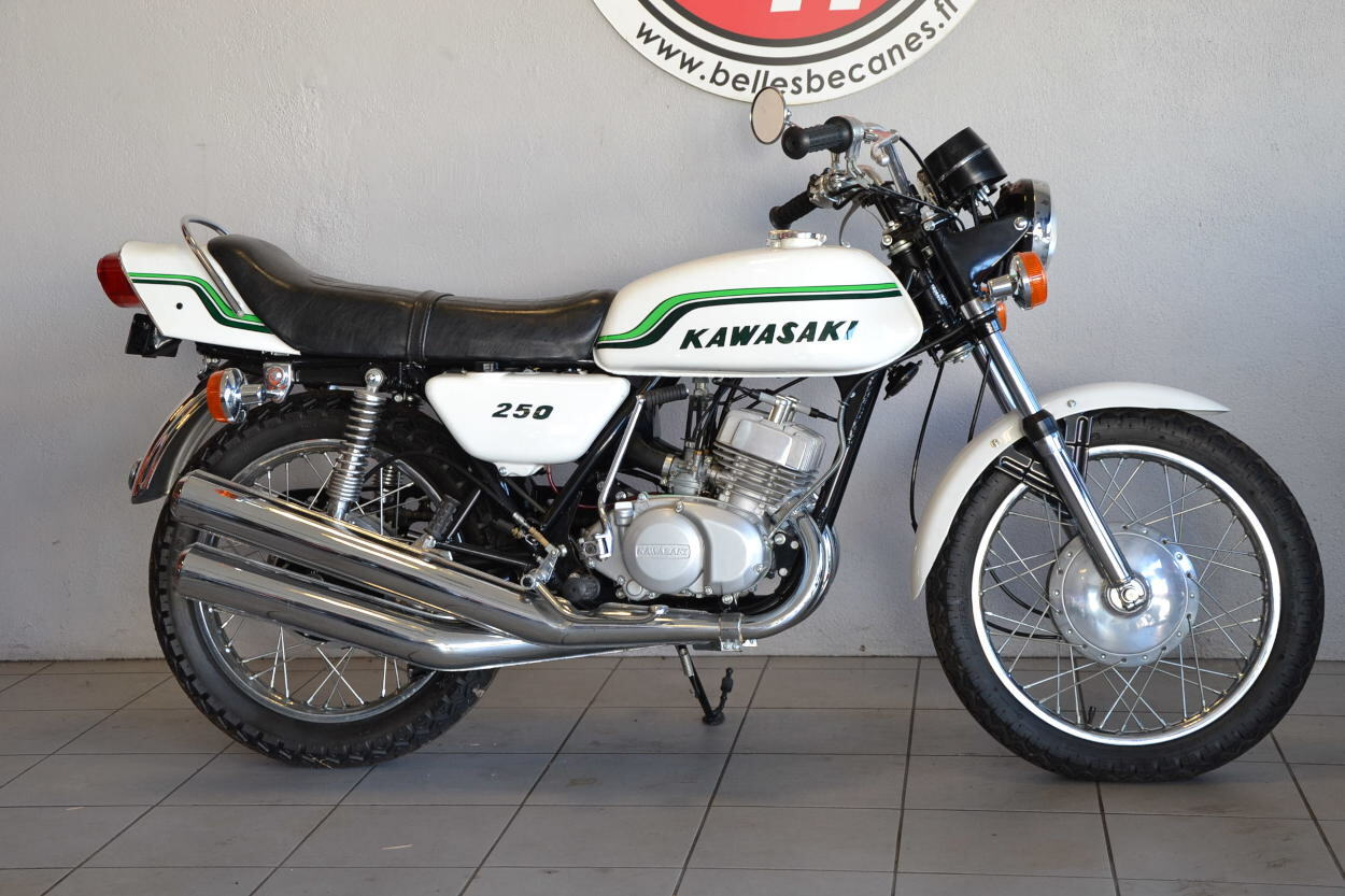 KAWASAKI 250 S1 (9).JPG