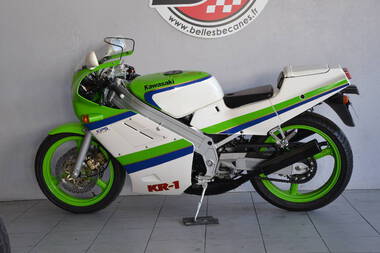 Kawasaki 250 KR1 (2)