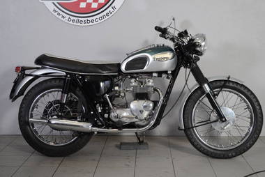 Triumph T100 S Tiger (7)