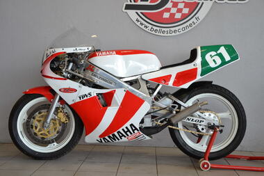 YAMAHA TZ250 (1).JPG