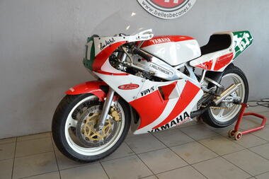 YAMAHA TZ250 (3).JPG