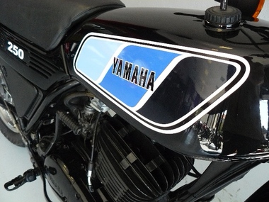 Yamaha 250 DTMX (10)
