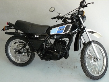 Yamaha 250 DTMX (7)