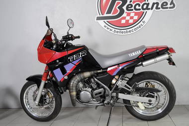 Yamaha 250 TDR (2)