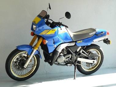 Yamaha 250 TDR bleue (5)