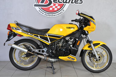 Yamaha 350 RZ (14)