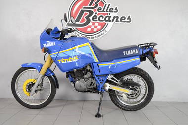 Yamaha 600 Ténéré 3AJ (2)