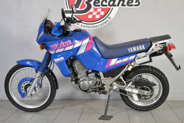 Yamaha 660 XTZ Tenere (2)