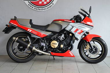 Yamaha FZ 750 (13)