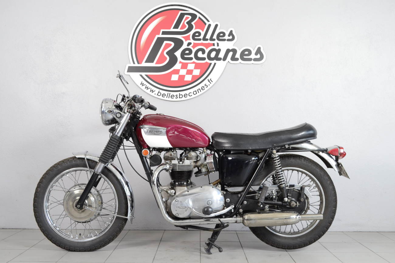 Triumph 650 (7)