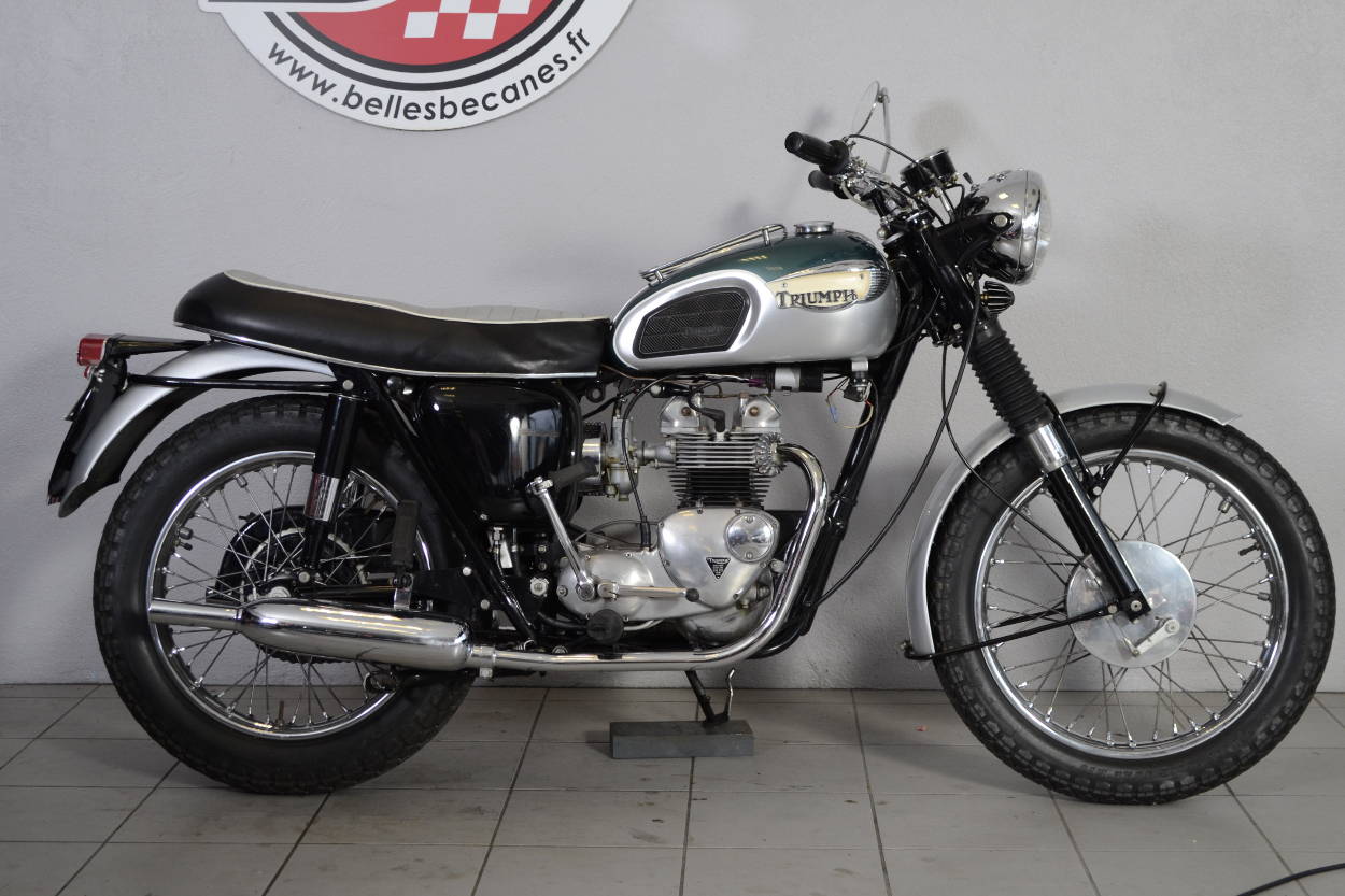 Triumph T100 S Tiger (7)